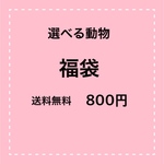 選べる動物福袋800円