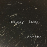 リバティhappy bag ヘアバンド 《定形外郵便送料無料》