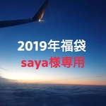 ※saya様専用 2019年福袋  イヤリング3点セット
