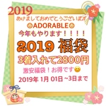 2019 ︎☺︎ADORABLE︎☺︎初売り福袋❤️