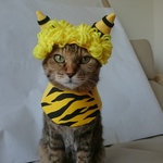 黄色オニコスプレ