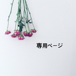 専用ページ