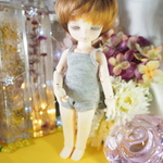 DEARMINE　DP　インナーセット