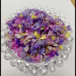 限定1セット スターチス 花びらミックスカラー