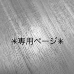 ✳︎専用ページです✳︎