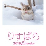 【2019年壁掛けA3カレンダー:りすぱら】
