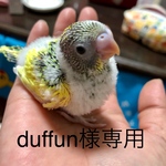 ☆duffun様専用ページ☆