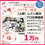 予約販売【2019年abc500en福袋】「上級」レジン素材プロ仕様福袋