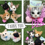 yaratomoyuki様 猫 羊毛フェルトストラップ
