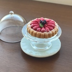 イチゴタルトケーキ ドームセット お皿付き
