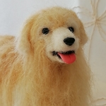 ミニ　ゴールデンレトリバー