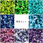 ❀福袋寒色セット❀