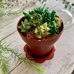 多肉寄せ植えカップケーキ ４個セット