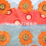 lovestar77様専用