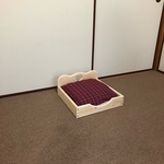 ペットベッド（低）　小型犬・猫用木製ベッド（クッション付き