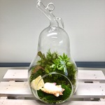 momoka 2598様 オーダー品