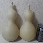 天然ひょうたん 中 セットB⑧