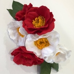 紅白椿Uピンセット