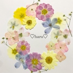 押し花素材 ふんわりカラーなカラフルリース