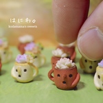 はにわの多肉植物セット