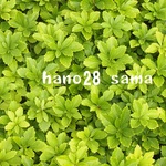 【受注製作】　hano28 様