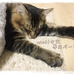 【お客様専用ページ】