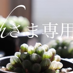 hさま専用⑅◡̈*