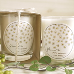 【pure natural soy candle -Plumeria flavor-】