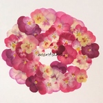 338.押し花アソート〜ピンク系 ビオラ 押し花素材