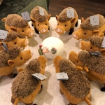 イノシシ