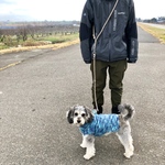 犬のリード 肩掛けリード＆ショートリード(フレンチブラウン×オートミール)