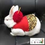 うさぎ用ハーネス【節分・赤鬼さんセット】