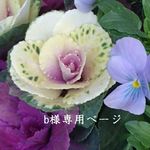 【ｂ様専用ページ】