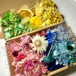 ハーバリウム花材ドライフラワー 花材セット52