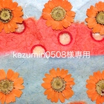kazumin0508様専用