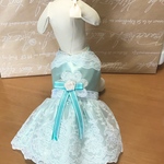 mowmi様専用プリンセスドレス👗