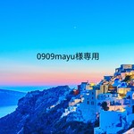 0909mayu様専用　入園グッズ