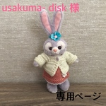 ❤️ usakuma- disk 様専用ページ ❤️