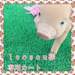 leosou様専用ページ