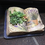 モルタルブック 植物ポット