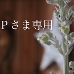 Ｐさま専用ページです⑅◡̈*