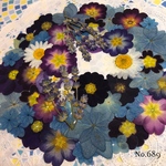 ♡new♡ 送料無料！¥1750 ♡たっぷり押し花セット♡