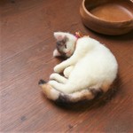 【リクエスト】lovely my cat 様