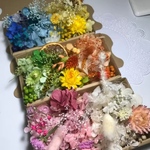 itumen様専用  6色セット 3BOX花材セットハーバリウム花材