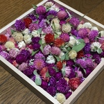 10％お値引き‼️お花屋さんが作った千日紅のドライフラワー150個uP   ①