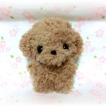 ✿あみぐるみ✿トイプードルちゃん🐩（アプリコット）♪