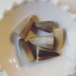 再販無し◆ デッドストック  12g 牙 穴無し パーツ