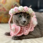 再販2【猫用 花冠&ポンチョ】ハートと薔薇のおしゃれセット
