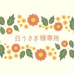 白うさぎ様専用☆
