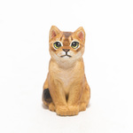 コルクのアビシニアン